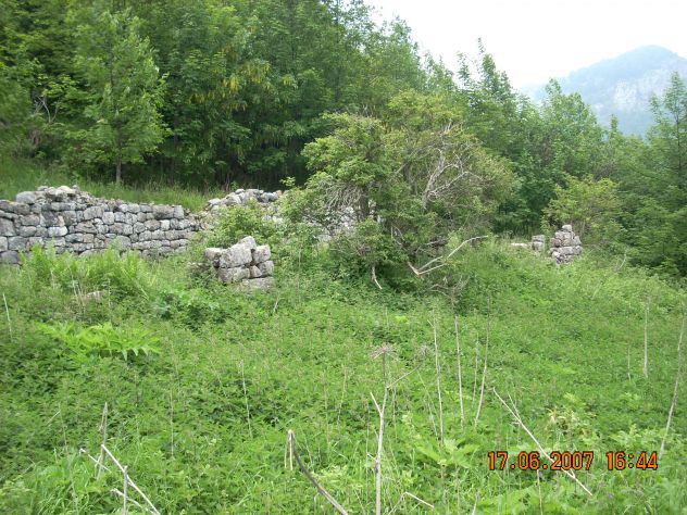 FONDO DI 101 ETTARI - Foto 5