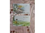 B251 - RARE CARTOLINE  PER FESTIVITA'