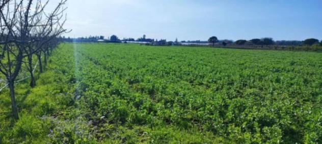 Immobile in asta di 3790 m² in vendita a Capaccio Paestum - Foto 3