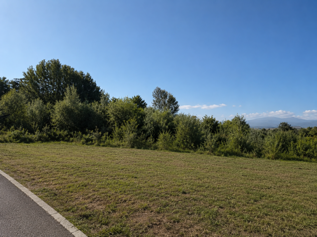 Terreno edif. residenziale in vendita a Zone - Capannori 2600 mq Rif: 1431963 - Foto 7