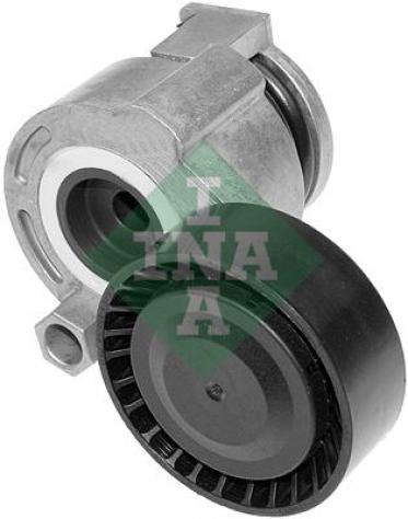 Tendicinghia Ina 534026910 Per Dacia, Renault
