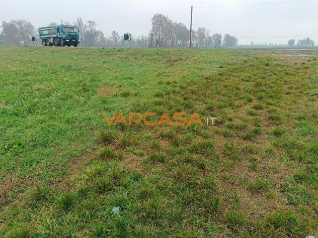 TERRENO AGRIOLO PIANEGGIANTE CON ACCESSO DIRETTO - Foto 3