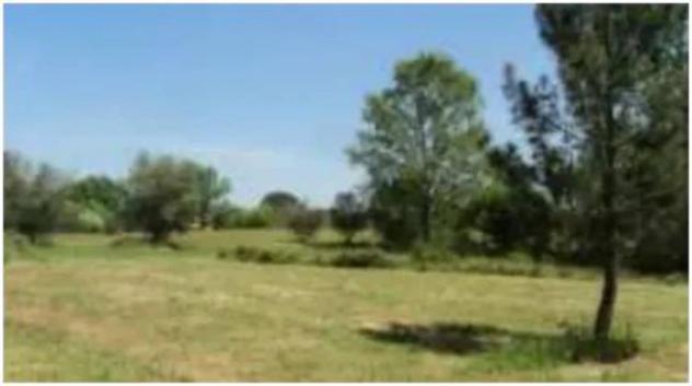 Immobile in asta di 36620 m² in vendita a Fucecchio - Foto 9