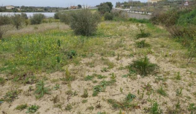 Immobile in asta di 48970 m² in vendita a Noto - Foto 7