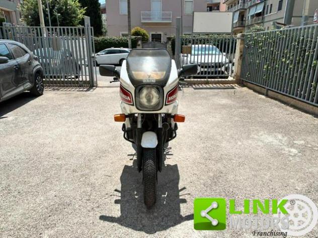 HONDA CB 900 F2 BOL D'OR - ASI - rif. 24034573 - Foto 4