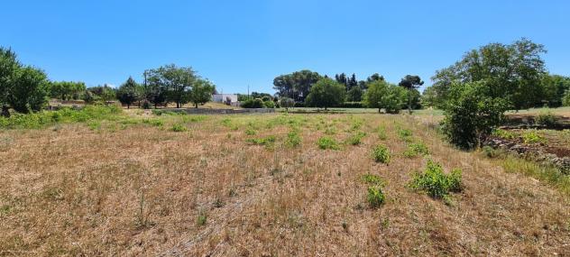 Villa in vendita a Martina Franca - Foto 5