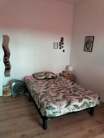 CAMERE SINGOLE PER STUDENTESSE A URBINO – VIA SALVEMINI - Foto 8