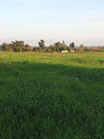 Terreno Agricolo - Rif. 2445 - Foto 10