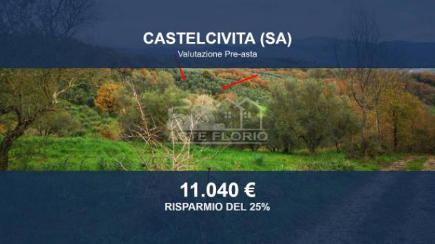 Immobile in asta di 6433 m² in vendita a Castelcivita