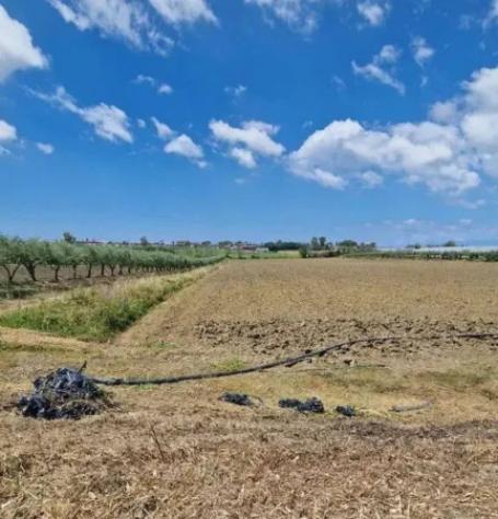 Immobile in asta di 32500 m² in vendita a Eboli - Foto 4