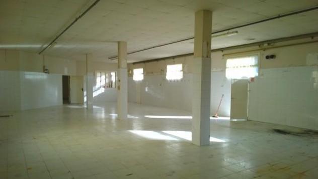 Laboratorio in vendita a Ponsacco 254 mq Rif: 1378148 - Foto 6