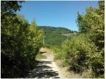 Terreno agricolo in vendita a Chianni 3400 mq  Rif: 774563