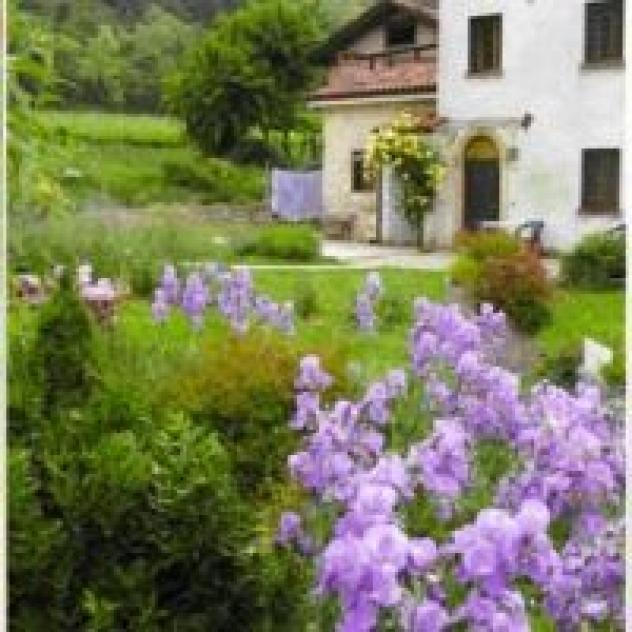 B&B alla Rotonda Vicenza