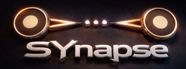 16/05 :Synapse Torino ricerchiamo locali e collaborazioni - Foto 3