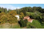Azienda Agricola in vendita a Capannori