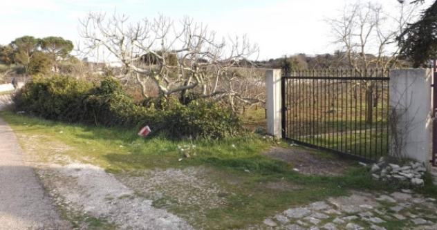 Immobile in asta di 3154 m² in vendita a Putignano - Foto 5