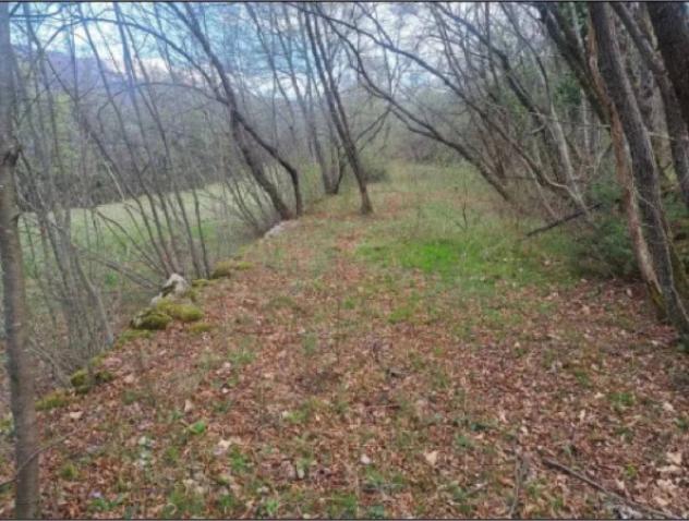 Immobile in asta di 2377 m² in vendita a Rovereto - Foto 9