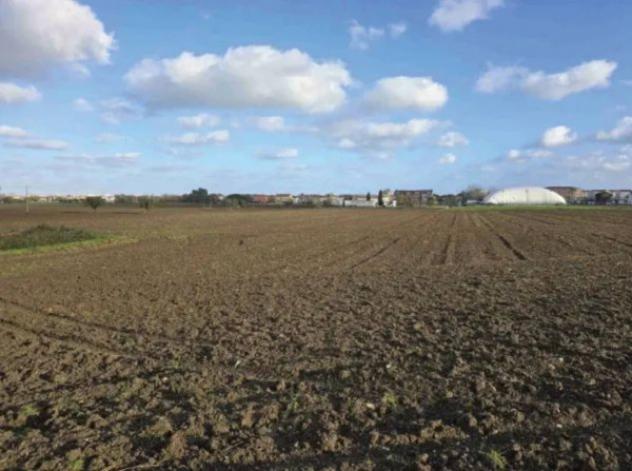 Immobile in asta di 5000 m² in vendita a Mondolfo - Foto 3