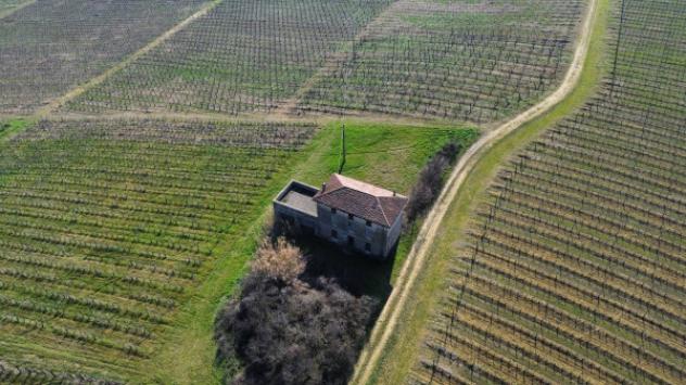 Terreno di 400000 m² in vendita a Piacenza - Foto 3