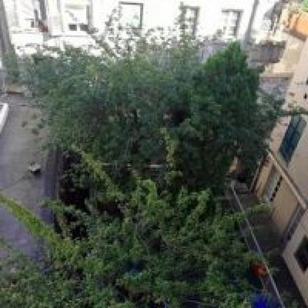 B&B Ligustico