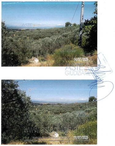 IMMOBILI-ALTRA CATEGORIA-Via di Capalle, 51035 Lamporecchio PT, Italia - Foto 9