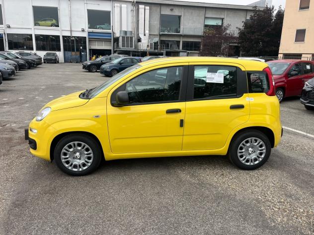 FIAT Pandina Pandina 1.0 firefly hybrid Icon s&s 65cv - Foto 5