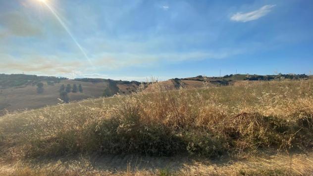 Terreno Agricolo - Roseto degli Abruzzi . Rif.: Cod. rif A132VCG - Foto 10