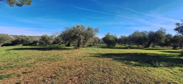 Magazzino in vendita a Loreto Aprutino - Foto 11