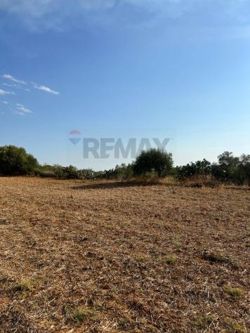 Terreno in vendita a Caltagirone, Piano San Paolo - Foto 5