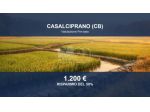 Immobile in asta di 4530 m² in vendita a Casalciprano
