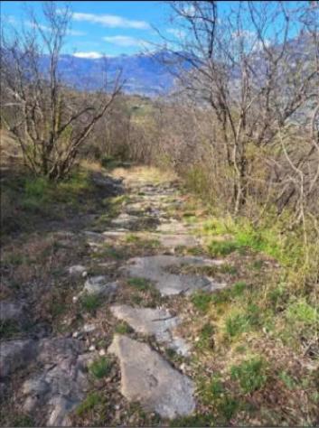 Immobile in asta di 6903 m² in vendita a Rovereto - Foto 3