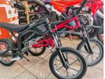 ALTRE MOTO O TIPOLOGIE Minimoto ZTECH Tao Motor M16 rif. 24063009
