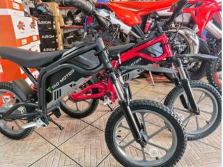 ALTRE MOTO O TIPOLOGIE Minimoto ZTECH Tao Motor M16 rif. 24063009