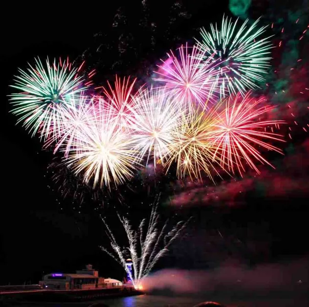 Fuochi D'Artificio Spettacolo pirotecnico - Foto 3