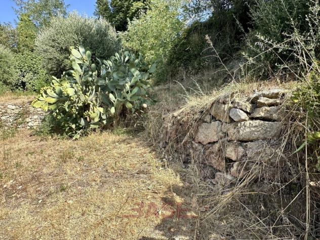 Terreno edificabile in vendita a Casale Marittimo - Foto 9