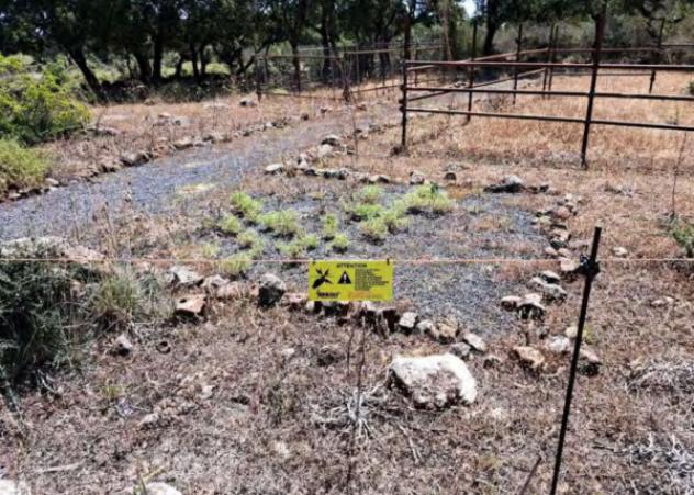 Immobile in asta di 16 m² in vendita a Melilli - Foto 7