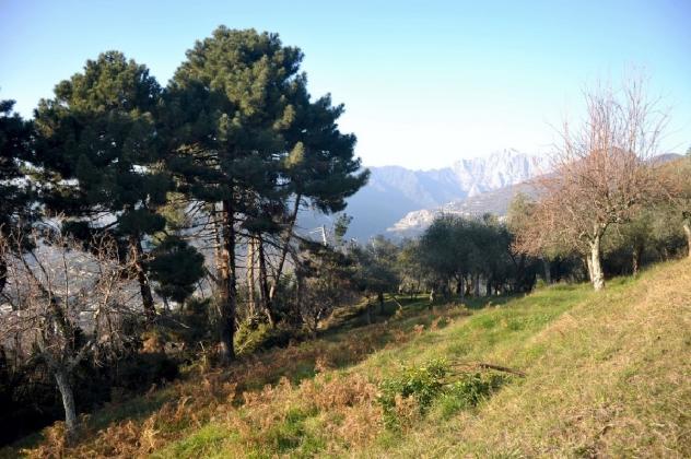 Rustico in vendita a Pietrasanta - Foto 15