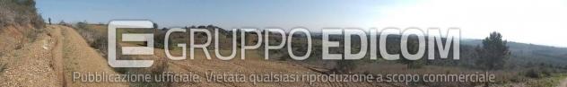 Terreno di 46370 mq in vendita a Montescaglioso - Rif. 4555042 - Foto 12
