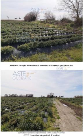 IMMOBILI-ALTRA CATEGORIA-località Case Parrilli - Foto 2