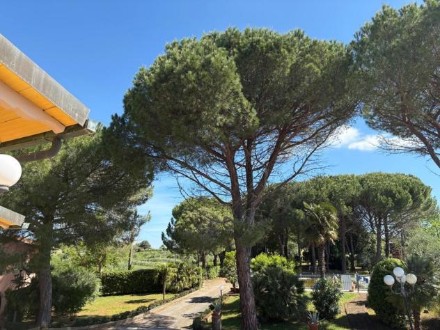Casale in vendita a Forcoli - Palaia 700 mq Rif: 1412994 - Foto 6