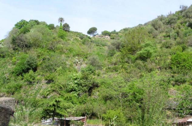 Immobile in asta di 1770 m² in vendita a Itala - Foto 8