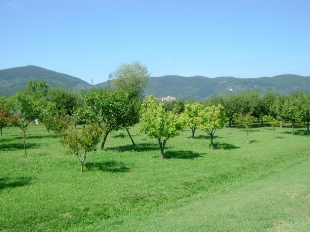 Villa in vendita a Ameglia 700 mq Rif: 1300408 - Foto 9