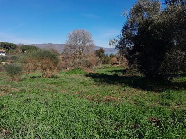 Terreno Edificabile - Rif. 2365 - Foto 16