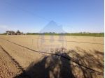 Cervia terreno agricolo