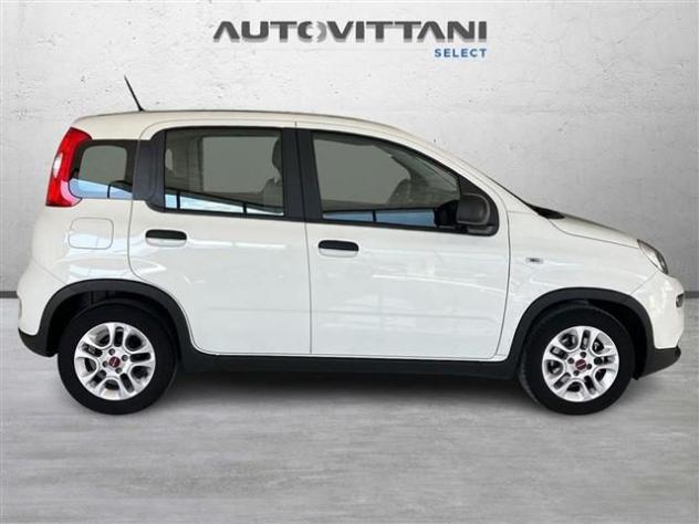 FIAT Panda 1.0 FireFly Hybrid 70cv City Life S&S 5p.ti rif. 24023670 - Foto 5