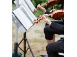 Violinista a Ferrara