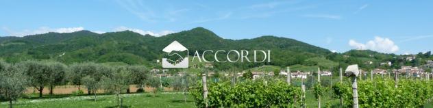 AREA EDIFICABILE di 1000 mq (MASER) rif. DG331 - Foto 6