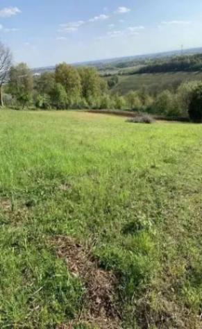Immobile in asta di 1922 m² in vendita a Orgiano - Foto 6