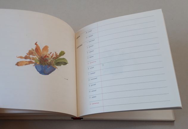 I giorni e i fiori - Foto 7