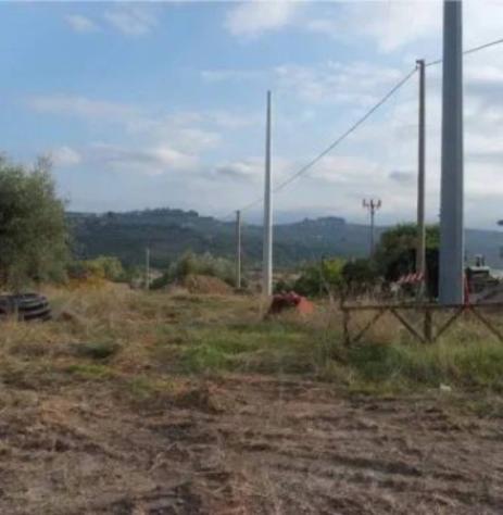 Immobile in asta di 1135 m² in vendita a Collecorvino - Foto 2